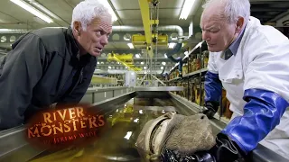 Monsters In The UK | HORROR STORY | River Monsters