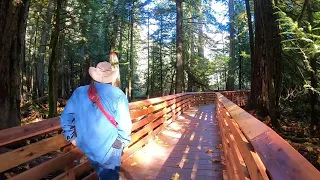 Cathedral Grove, Vancouver Island, BC