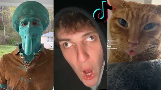 Funny TikToks to watch instead of sleeping