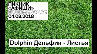 Пикник Афиши 2018 - Dolphin Дельфин - Листья