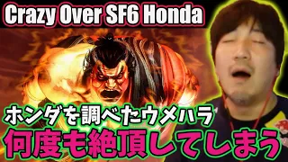 [SF6] Daigo Goes Crazy Over SF6 Honda’s MOVES “He’s a GOOD CHARACTER!” [Daigo]
