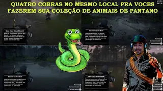 RDR 2:Cobra d'agua midland/cobra d'agua do norte/mocassin aquatica/casacavel diamante no mesmo local