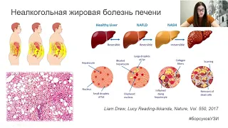 Круглый стол "Новые форматы обучения на примере авторской школы УЗИ профессора Борсукова А.В.»