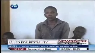 Man jailed for 10 years for defiling goat !