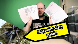 Q&A: Odpowiadam na pytania widzów! Co mnie ukąsiło?