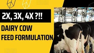 Feeding level in dairy cow feed formulation