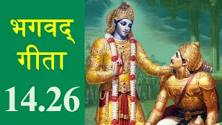 Bhagavad Gita 14.26 | Chapter 14 Shloka 26 | भगवद् गीता 14.26 | अध्याय 14 श्लोक 26 | Gita Shloka 549