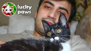 The Poor Little Kitten is Saved and Won't Stop Hugging His Rescuer | Lucky Paws