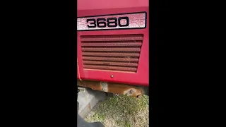 1989 MASSEY FERGUSON 3680 For Sale