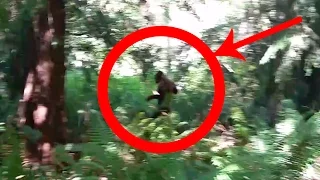 Bigfoot CAUGHT on Selfie!!! | Unhinged Comedy