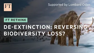 Could technology resurrect the woolly mammoth?  | FT Rethink