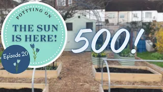 Episode 20 - Potting On, The Sun is Shining and 500!