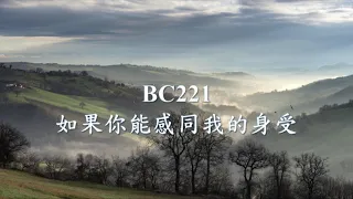 BC221《如果你能感同我的身受》.mp4