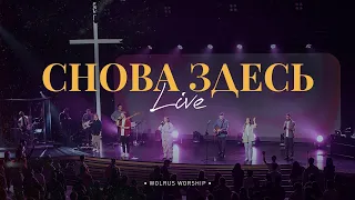 Снова здесь | Wolrus Worship | Миля Шаламова (Live)