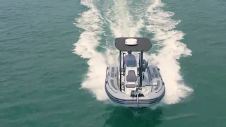 Zodiac Pro 550