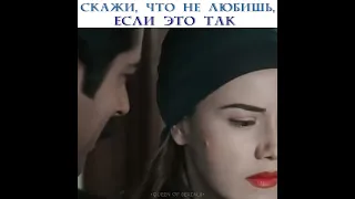 Скажи, что не любишь, если это так💔🥀 |Королёк птичка певчая|