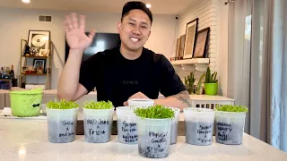 How to Germinate Dragon Fruit Seeds QUICKEST & EASIEST Way