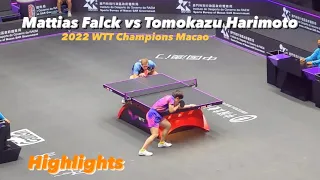 Tomokazu Harimoto 張本智和 vs Mattias Falck | 2022 WTT Champions Macao (R32) HD Highlights