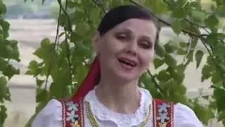 Эх, калина горькая