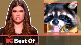 Ridiculousnessly Popular Videos: Animal Edition (Part 3) 🐶 Ridiculousness