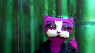 Lady Gaga - Poker Face (Kitty Gaga - Puppet Face) Parody