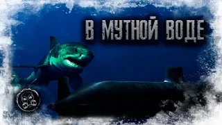 В МУТНОЙ ВОДЕ. Страшилки. Страшные истории.