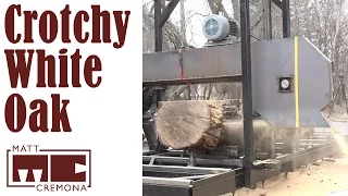 Slabbing the Crotchy White Oak Log (Big Logs #3)
