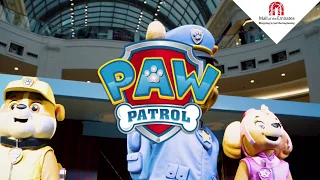 Paw Patrol Show