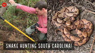 Insane South Carolina Snake Hunting! Finding A LOT of Snakes Under Tin and Car Hoods!