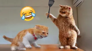 Funniest Animals Videos 2023😂 funny Cats and Dogs 😺🐶 Part 39
