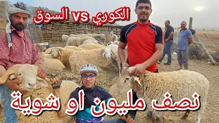 خروف العيد الفرق بين الكوري والسوق