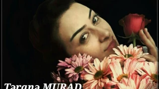 Terane Murad-Sanma Bilmedim 2017