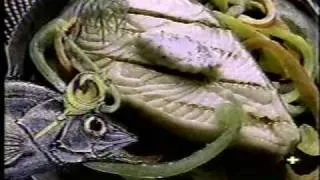 1989 - Eat Fish Twice A Week Ad