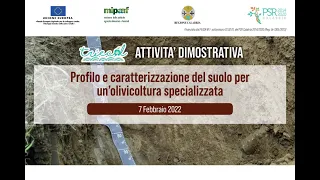 Webinar - Att. dimostrativa profilo e caratterizzazione del suolo per un'olivicoltura specializzata