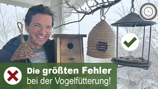 KEIN Vogel am Vogelhaus - WAS ist da los?? So fütterst du richtig und hilft damit vielen Vögeln