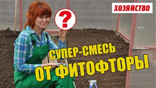 Суперсмесь против фитофторы на помидорах