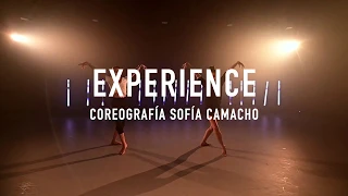 EXPERIENCE - Ludovico Einaudi  |  SOFÍA CAMACHO