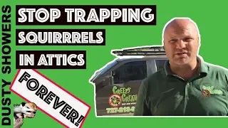 Stop Trapping Squirrels In Attic's Forever - [Updated w/ Secret Weapon]