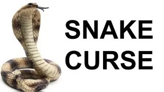 NEVER KILL A SNAKE (KING COBRA CURSE)  (Prosperity & Astrology)