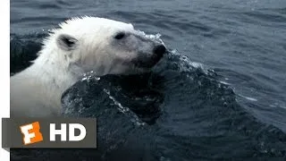 Arctic Tale (1/10) Movie CLIP - Hunting Walrus (2007) HD