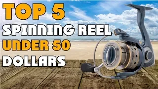 Best Spinning Reel Under 50 of 2023 | Spinning Reel Under 50 Buying Guide