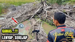 GANAS!!! Gak nunggu lama hitungan detik mancing di rawa ini langsung disikat betok monster