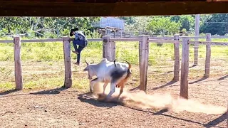 SALVEI A VIDA DELA E QUASE LEVEI UMA CHIFRADA NA BUNDA 3 VEZES