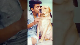 kissing dog😘 | cute | petlover | #shorts | anant rastogi