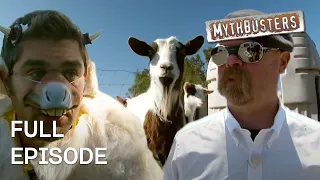 The Best of Viral Myths | MythBusters | Season 6 Episode 6 | Full Episode