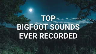 TOP BIGFOOT SOUNDS EVER RECORDED