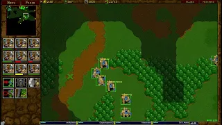 Warcraft 2 Garden of War 1v1 u8t3io3p vs Startale