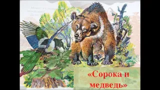 Н. Сладков "Лесные сказки"