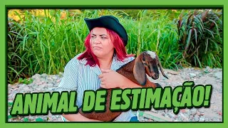 ANIMAL DE ESTIMAÇÃO!