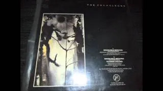 The Chameleons - Pleasure And Pain 12''